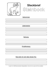 Steinbock-Steckbriefvorlage-sw.pdf